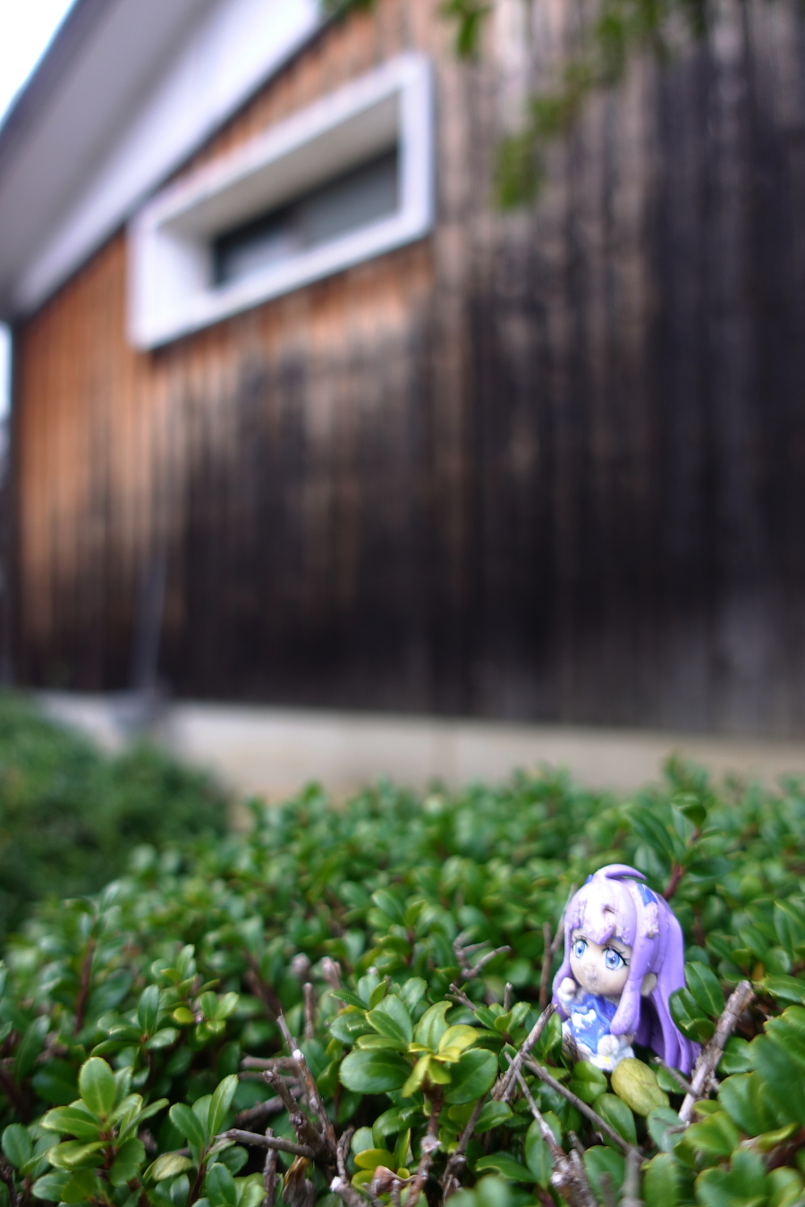 メルヘンチックなごみ